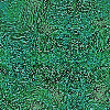Textures 128